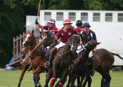 White Rose Polo Club