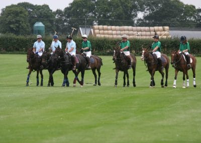 White Rose Polo Club