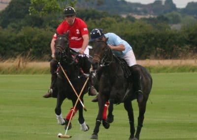 White Rose Polo Club