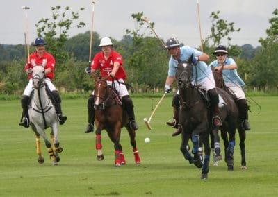 White Rose Polo Club