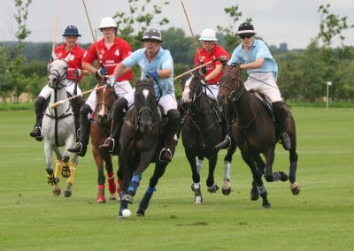 White Rose Polo Club