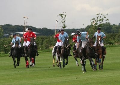 White Rose Polo Club