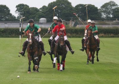 White Rose Polo Club