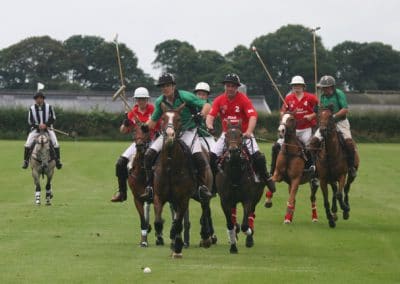 White Rose Polo Club