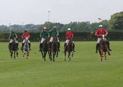 White Rose Polo Club