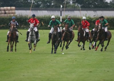 White Rose Polo Club