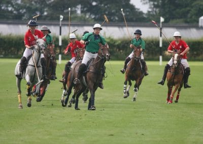 White Rose Polo Club