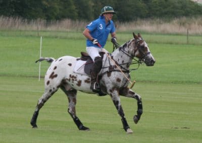 White Rose Polo Club