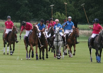 White Rose Polo Club