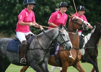 White Rose Polo Club