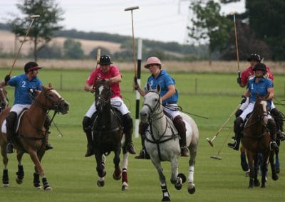 White Rose Polo Club