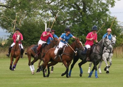 White Rose Polo Club