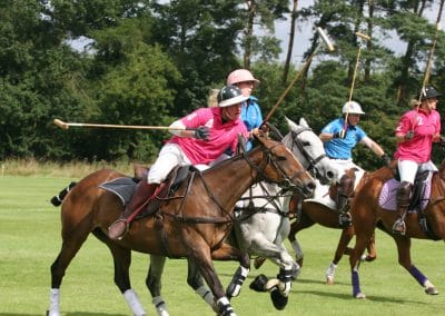 White Rose Polo Club