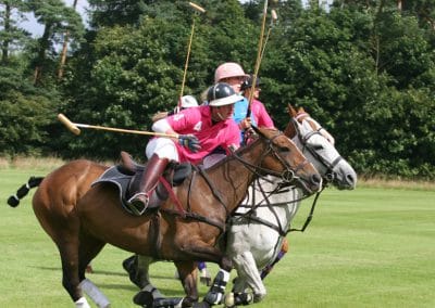 White Rose Polo Club