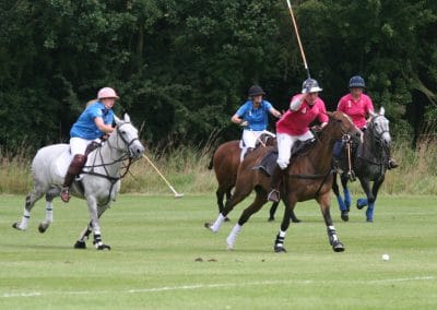 White Rose Polo Club