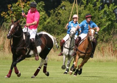 White rose polo